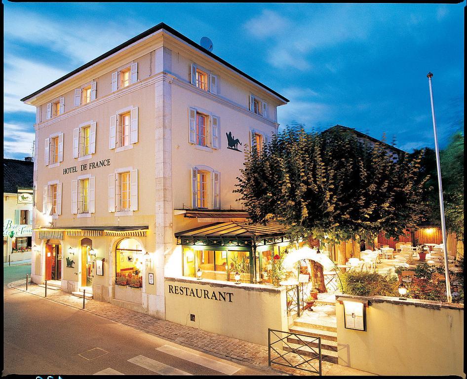 Hotel De France Ferney-Voltaire Exterior foto